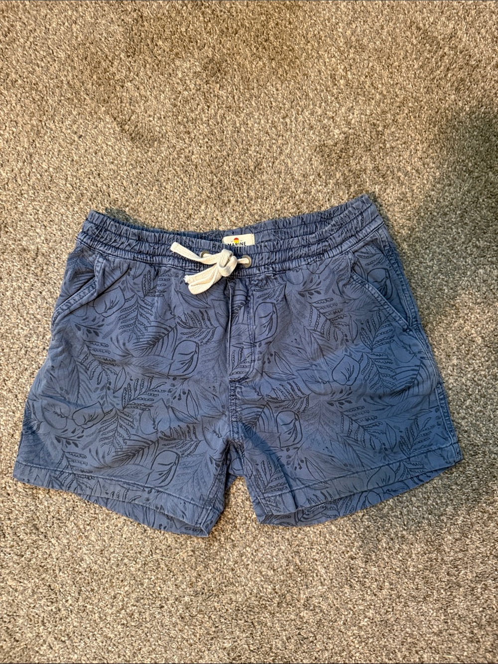 Marine Layer Blue Leaf-Print Drawstring Shorts